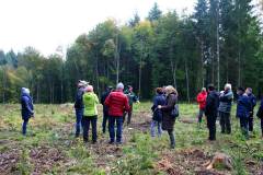 Waldbegehung 2021 des leimener Gemeinderates